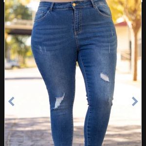 Plus Size Skinny Jeans